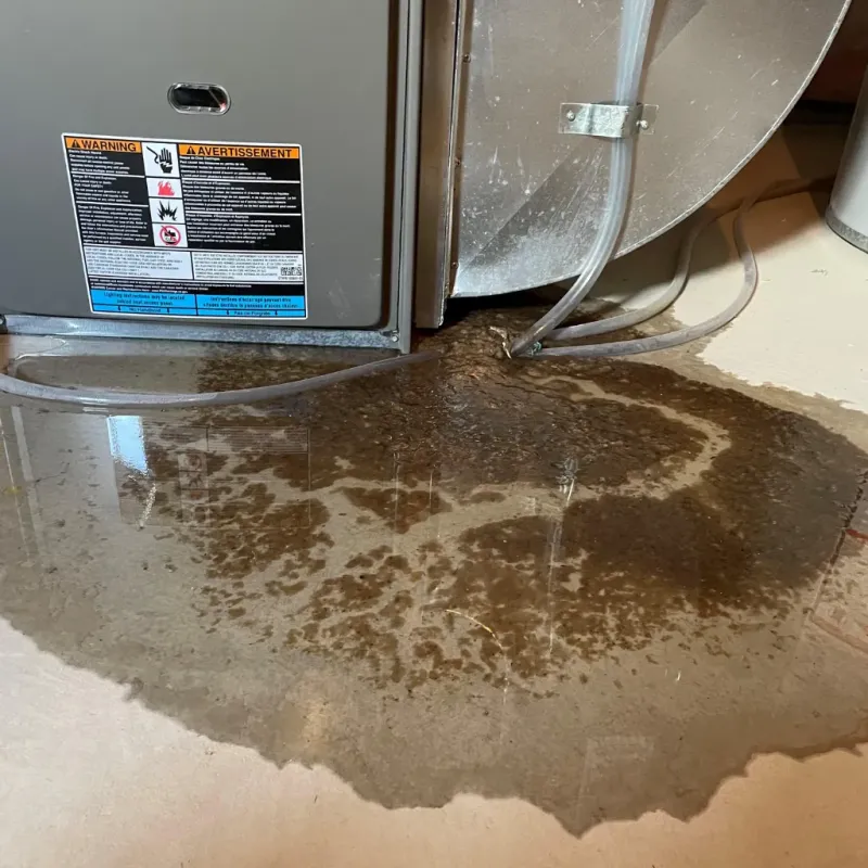 Appliance Leak Cleanup in Adamsville, AL